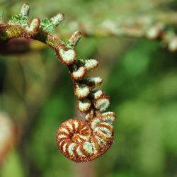 Lorem ipsum dolor sit amet